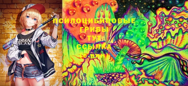 прущий лед Армянск