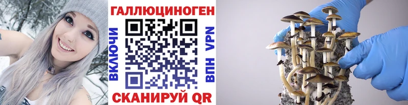 Галлюциногенные грибы Psilocybine cubensis  Межгорье 